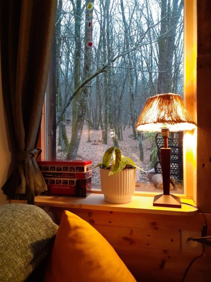 Le Gite De La Cabane De L'Oiseau Couze-et-Saint-Front Extérieur photo