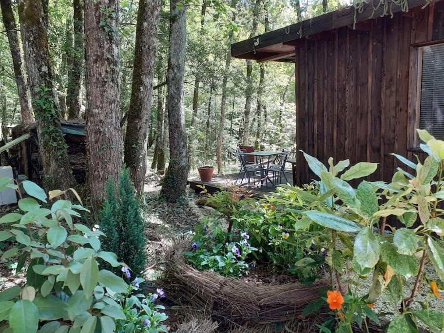 Le Gite De La Cabane De L'Oiseau Couze-et-Saint-Front Extérieur photo