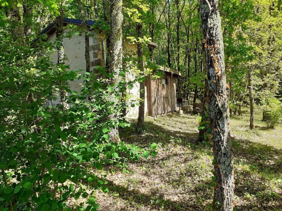 Le Gite De La Cabane De L'Oiseau Couze-et-Saint-Front Extérieur photo